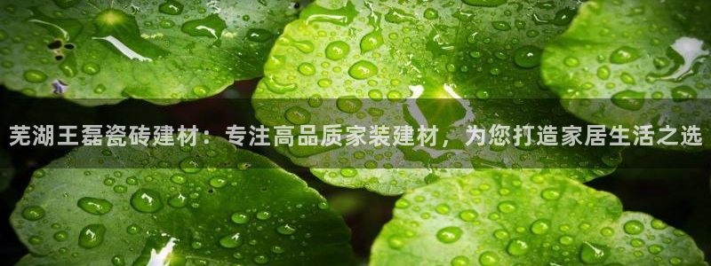 杏鑫注册登录代理