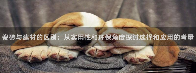 杏鑫官方平台怎么样