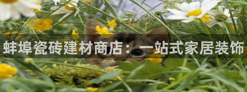 杏鑫平台正规吗是真的吗