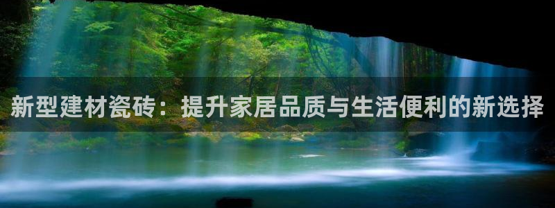 杏鑫招商总代