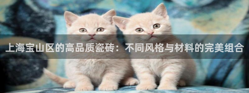 杏鑫平台招商怎么样啊