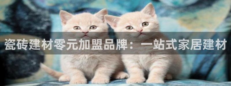 杏鑫平台测速