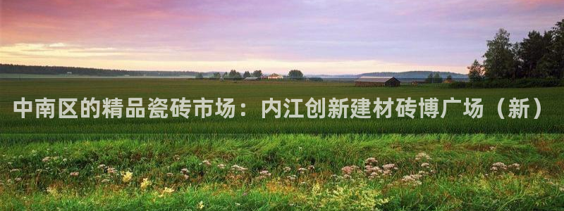 杏鑫平台代理怎么做