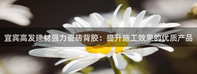 杏鑫平台平台